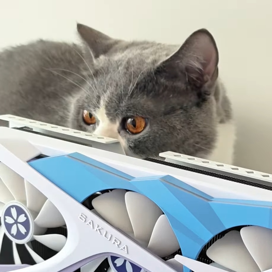 in5ar@shitpost.poridge.club